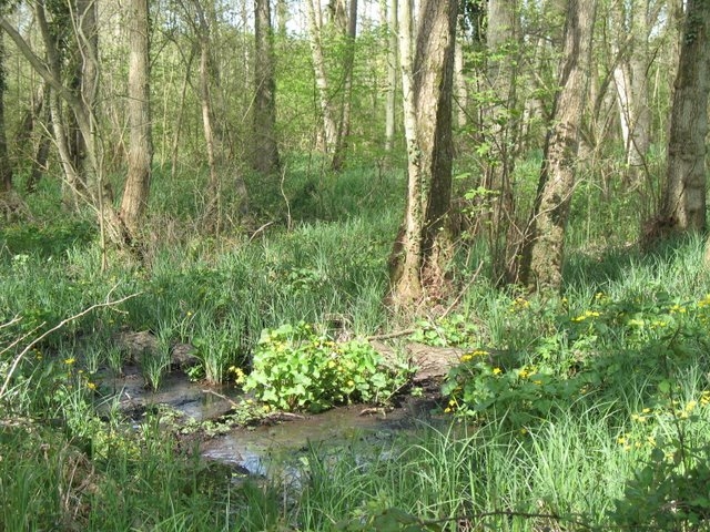 2008 04  Bota et Myco 07